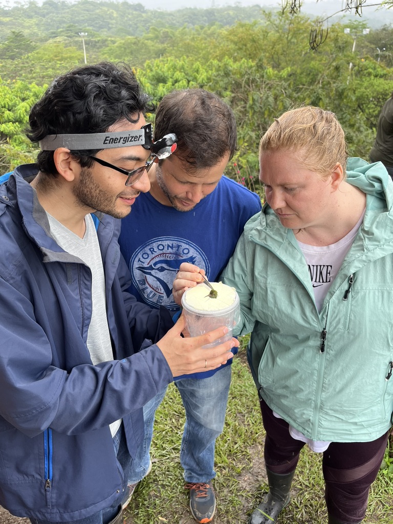 Field sampling