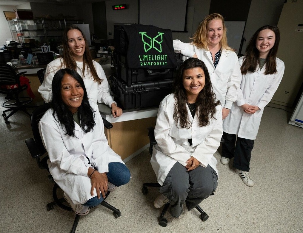 Molecular lab work